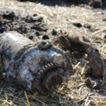 Pole miedzy Krzczonowem, a Kociną w gminie Opatowiec. Poszukiwania szczątków Liberatora B24L / Marta Gajda / Radio Kielce