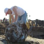 Pole miedzy Krzczonowem, a Kociną w gminie Opatowiec. Poszukiwania szczątków Liberatora B24L / Marta Gajda / Radio Kielce