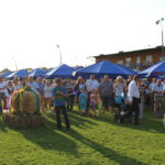 Dożynki powiatowe w Kazimierzy Wielkiej / Marta Gajda / Radio Kielce