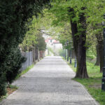 Rzeszów. Spacer po mieście / Robert Felczak / Radio Kielce