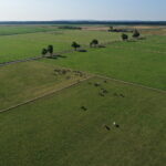 07.08.2019 Michałów. Stadnina koni. Konie / Jarosław Kubalski / Radio Kielce