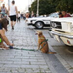 24.08.2019 Kielce. Ford Mustang. I Zlot Klasycznych Mustangów / Jarosław Kubalski / Radio Kielce