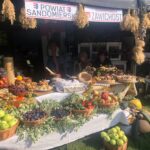 Dożynki powiatowe w Koprzywnicy. Wieniec gminy Samborzec / Grażyna Szlęzak-Wojcik / Radio Kielce