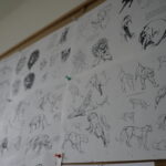 Studio Filmowe Anima-Pol / Patryk Cudzik / Radio Kielce