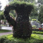 Letni Raport Dnia / Krzysztof Bujnowicz / Radio Kielce