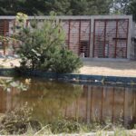 Letni Raport Dnia / Krzysztof Bujnowicz / Radio Kielce