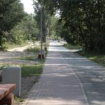 Letni Raport Dnia / Krzysztof Bujnowicz / Radio Kielce