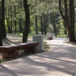 Letni Raport Dnia / Krzysztof Bujnowicz / Radio Kielce