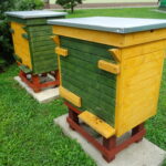 Opatów. Pasieka Powiatowego Inspektoratu Weterynarii / Radio Kielce