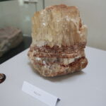 Piknik edukacyjny w Centrum Geoedukacji / Wiktor Taszłow / Radio Kielce