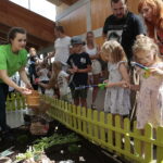 Piknik edukacyjny w Centrum Geoedukacji / Wiktor Taszłow / Radio Kielce