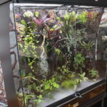 Piknik edukacyjny w Centrum Geoedukacji / Wiktor Taszłow / Radio Kielce