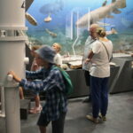 Piknik edukacyjny w Centrum Geoedukacji / Wiktor Taszłow / Radio Kielce