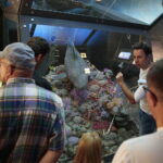 Piknik edukacyjny w Centrum Geoedukacji / Wiktor Taszłow / Radio Kielce