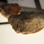 Piknik edukacyjny w Centrum Geoedukacji / Wiktor Taszłow / Radio Kielce