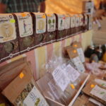 "Rodzinna niedziela w skansenie" / Wiktor Taszłow / Radio Kielce