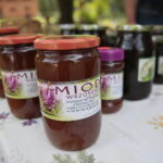 "Rodzinna niedziela w skansenie" / Wiktor Taszłow / Radio Kielce