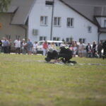 Impresje Łopuszańskie / Wiktor Taszłow / Radio Kielce