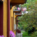 Jędrzejów. Nie żyje 3-miesięczna dziewczynka. Blok, w którym doszło do tragedii  / Wiktor Taszłow / Radio Kielce