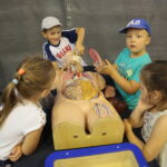 Mobilna wystawa Centrum Nauki Kopernik - Naukobus / Wiktor Taszłow / Radio Kielce