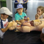 Mobilna wystawa Centrum Nauki Kopernik - Naukobus / Wiktor Taszłow / Radio Kielce