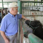 Dzień otwarty Stadniny Koni Arabskich w Michałowie / Wiktor Taszlow / Radio Kielce