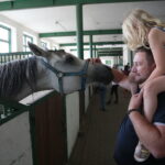 Dzień otwarty Stadniny Koni Arabskich w Michałowie / Wiktor Taszlow / Radio Kielce