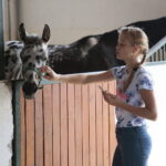 Dzień otwarty Stadniny Koni Arabskich w Michałowie / Wiktor Taszlow / Radio Kielce