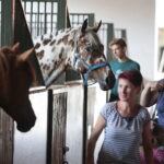Dzień otwarty Stadniny Koni Arabskich w Michałowie / Wiktor Taszlow / Radio Kielce