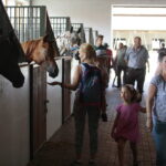 Dzień otwarty Stadniny Koni Arabskich w Michałowie / Wiktor Taszlow / Radio Kielce