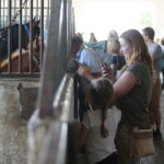 Dzień otwarty Stadniny Koni Arabskich w Michałowie / Wiktor Taszlow / Radio Kielce