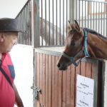 Dzień otwarty Stadniny Koni Arabskich w Michałowie / Wiktor Taszlow / Radio Kielce