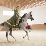 Dzień otwarty Stadniny Koni Arabskich w Michałowie / Wiktor Taszlow / Radio Kielce