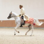 Dzień otwarty Stadniny Koni Arabskich w Michałowie / Wiktor Taszlow / Radio Kielce