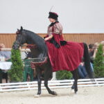 Dzień otwarty Stadniny Koni Arabskich w Michałowie / Wiktor Taszlow / Radio Kielce