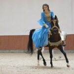 Dzień otwarty Stadniny Koni Arabskich w Michałowie / Wiktor Taszlow / Radio Kielce