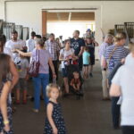 Dzień otwarty Stadniny Koni Arabskich w Michałowie / Wiktor Taszlow / Radio Kielce