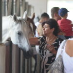 Dzień otwarty Stadniny Koni Arabskich w Michałowie / Wiktor Taszlow / Radio Kielce