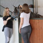 Dzień otwarty Stadniny Koni Arabskich w Michałowie / Wiktor Taszlow / Radio Kielce