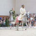 Dzień otwarty Stadniny Koni Arabskich w Michałowie / Wiktor Taszlow / Radio Kielce