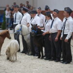 Dzień otwarty Stadniny Koni Arabskich w Michałowie / Wiktor Taszlow / Radio Kielce