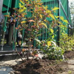 Strefa relaksu w Dolinie Silnicy / Wiktor Taszłow / Radio Kielce