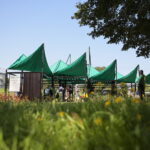 Strefa relaksu w Dolinie Silnicy / Wiktor Taszłow / Radio Kielce