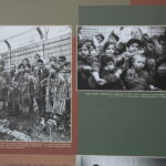 Wystawa "Germanizacja dzieci polskich" / Wiktor Taszłow / Radio Kielce