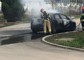Na Barwinku w Kielcach spłonął samochód / kielce.tvp.pl