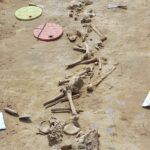 Odkrycie archeologiczne w Wilczycach / Natalia Romek