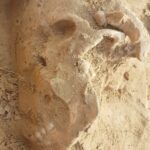 Odkrycie archeologiczne w Wilczycach / Natalia Romek