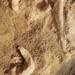 Odkrycie archeologiczne w Wilczycach / Natalia Romek