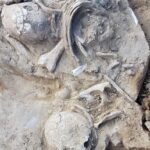 Odkrycie archeologiczne w Wilczycach / Natalia Romek