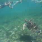 7.09.2019. Meksyk. Jukatan / Balbina Bujak